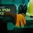 О проведении конкурса на лучшие фотоработы «Охрана труда в фокусе» в 2025 году. - Нефтекумский муниципальный округ