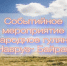 24 марта 2026 года, в Доме культуры села Каясула состоится долгожданное событийное мероприятие: «Народное гуляние «Навруз-Байрам» – один из самых ярких и значимых праздников в культуре народов Нефтекумского района. - Нефтекумский муниципальный округ